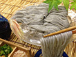 【お中元】手延べ黒ごまめん 22束【送料込み】 【お中元】手延べ黒ごまめん 22束【送料込み】