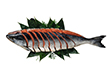 北海道日高太平洋沖産　新巻鮭姿切身1.5kg【送料込み】