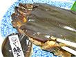 にしん昆布醤油炊き 1尾入り×5【送料込み】【お届け不可地域:沖縄・離島】 にしん昆布醤油炊き 1尾入り×5【送料込み】【お届け不可地域:沖縄・離島】