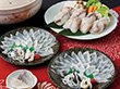 【お歳暮2023】国産 とらふぐ刺身と真ふぐちり鍋セット 【送料込み】【お届け不可地域：離島】_545