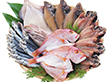 【父の日2025】山口魚急便 YA-1 4996-093 魚介 詰合せ【送料込み】【二重包装不可】【お届け不可地域：北海道・沖縄・離島】【お届け日時指定不可】
