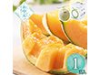 【お中元2026】北海道産 夕張メロン1玉 820010 1625-011 フルーツ 果物【送料込み】【二重包装不可】【お届け不可地域：北海道・沖縄・離島】