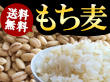 もち麦 900g【送料込み】【お届け不可地域：沖縄】