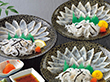 【お中元2025】関とら本店 ふく薄造り詰合せ FST-60F5Z 魚フグ【送料込み】【二重包装不可】【お届け不可地域:離島】_846 【お中元2025】関とら本店 ふく薄造り詰合せ FST-60F5Z 魚フグ【送料込み】【二重包装不可】【お届け不可地域:離島】_846