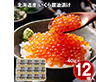北海道産 いくら醤油漬け 480g イクラ【送料込み】【二重包装不可】【お届け不可地域：離島】