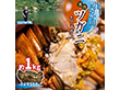 清流 四万十川の天然ツガニ！約1kg 蟹 カニ【送料込み】【二重包装不可】【お届け不可地域：北海道・沖縄・離島】