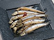 きびなごの黒酢南蛮 100g×6袋【送料込み】【お届け不可地域:沖縄・離島】 きびなごの黒酢南蛮 100g×6袋【送料込み】【お届け不可地域:沖縄・離島】