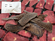 No.3 DEER JERKY 鹿ジャーキー 40g ペットフード ペットのおやつ ドッグフード キャットフード シカ【送料込み】【お届け不可地域：北海道・沖縄・離島】
