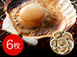 北海道産 帆立片貝 6枚(50g×6) 貝類 ホタテ【送料込み】【二重包装不可】【お届け不可地域：離島】