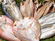 海鮮一汐開きセット 魚介 干物【送料込み】【二重包装不可】【お届け不可地域：離島】