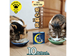 ミケ猫みっけの献上缶 １０缶セット ペットフード キャットフード ネコ【送料込み】