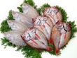 島根県特産品 海産物 高級魚のどぐろ・水かれい一夜干しセット