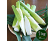 岡山県里庄産 無農薬栽培 マコモタケ（まこもたけ）生 1kg Mサイズ 〈期間限定：9月～11月中旬〉【送料込み】