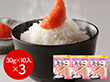 かねふく 便利なスティックたらこ 魚卵 タラコ【送料込み】【二重包装不可】【お届け不可地域：離島】
