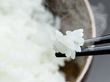令和6年度産 無洗米5kg 新潟県産こしひかりのお米【送料込み】