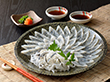 関とら本店 とらふく刺身セット（25cm皿） 魚介 詰合せ【送料込み】【二重包装不可】【お届け不可地域：離島】
