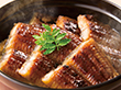 【お中元2025】豊前小倉流 手焼き串打ちうなぎ蒲焼 B4-8 鰻 蒲焼き【送料込み】【二重包装不可】【お届け不可地域：離島】_530