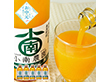 【お中元2026】小南農園 和歌山県産 田村みかんジュース フルーツジュース【送料込み】【二重包装不可】_592