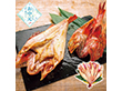 【お中元2026】きんき開き一汐仕込み 魚介【送料込み】【二重包装不可】【お届け不可地域：離島】_858
