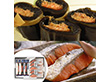 北海道産秋鮭切身＆昆布巻きセット サケ さけ こぶまき 正月料理【送料込み】【二重包装不可】【お届け不可地域：沖縄・離島】